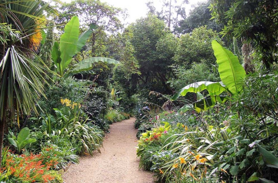 Abbotsbury Subtropical Gardens, United Kingdom